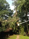 Storm Damage Cleanup